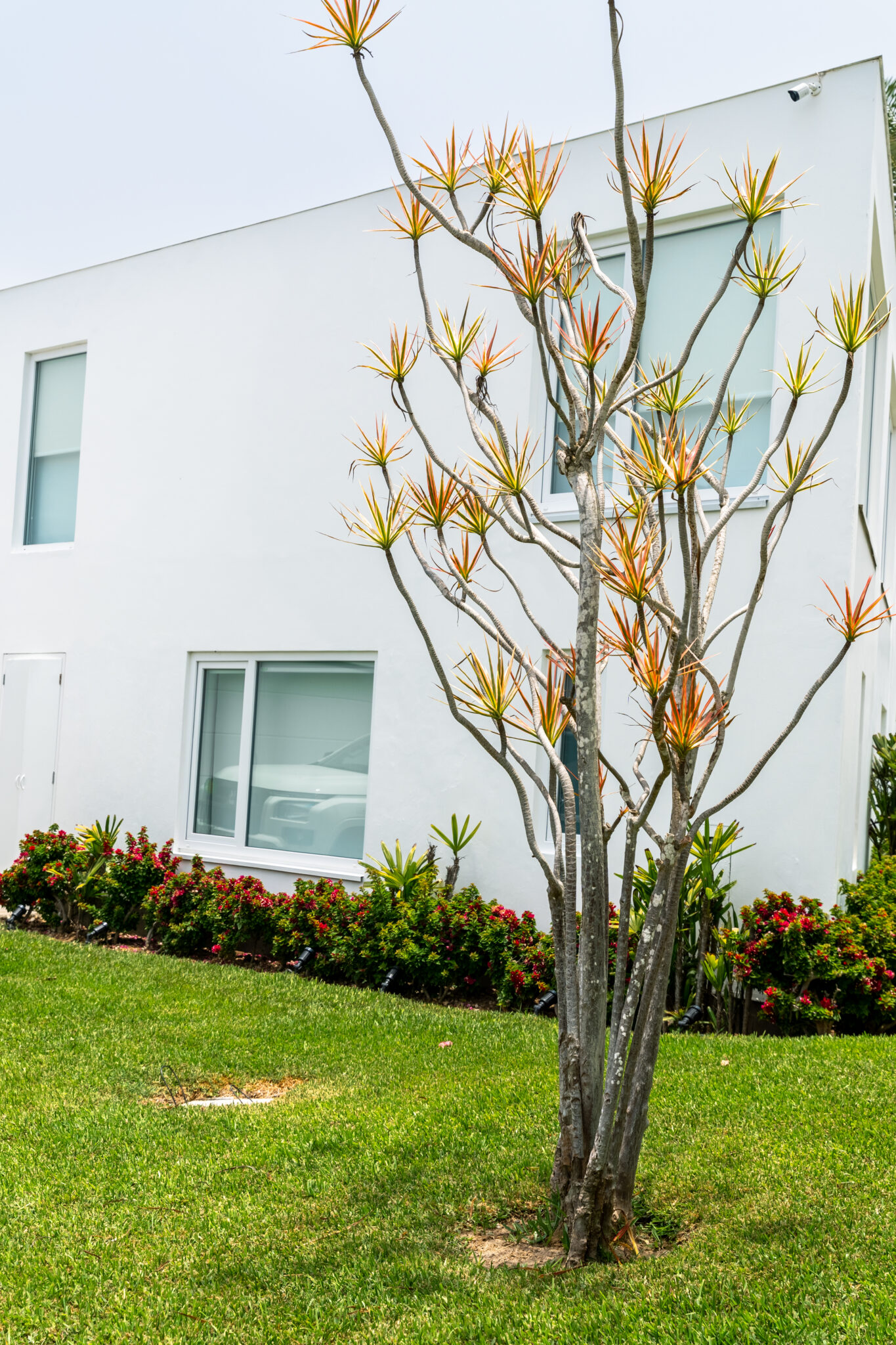 Ventanas Fijas y Batientes en PVC -Instalada en 2022