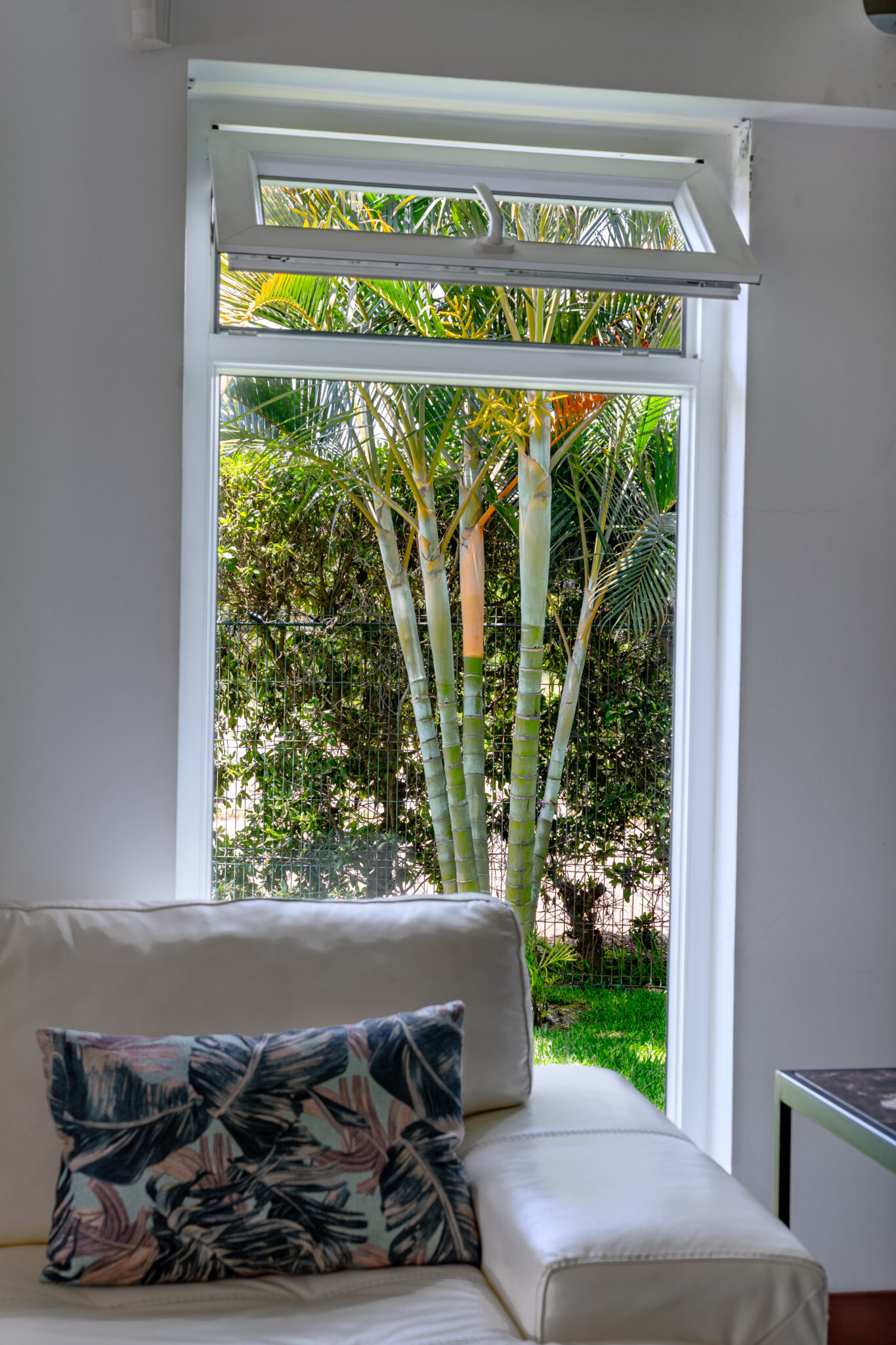 Ventana Fija y Proyectante - Instalada en 2022